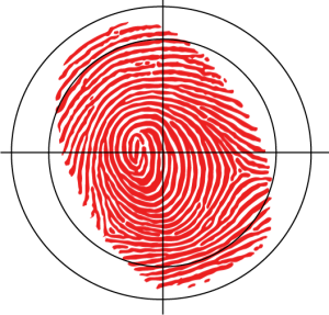 CrimeStoppers raleigh crimestoppers
